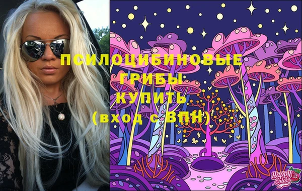 гидра Лабытнанги