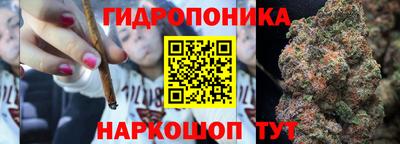 шишки Кинель