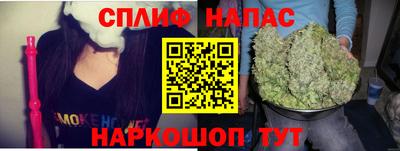 шишки Кинель