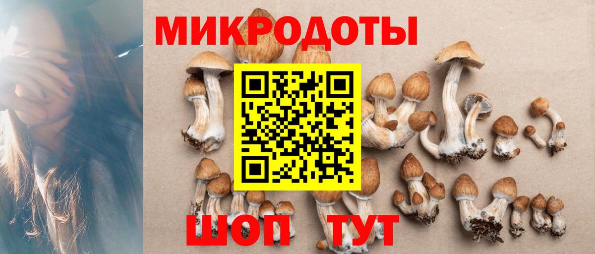Галлюциногенные грибы Cubensis Улан-Удэ